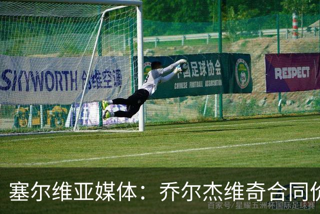 塞尔维亚媒体：乔尔杰维奇合同价值100万美元