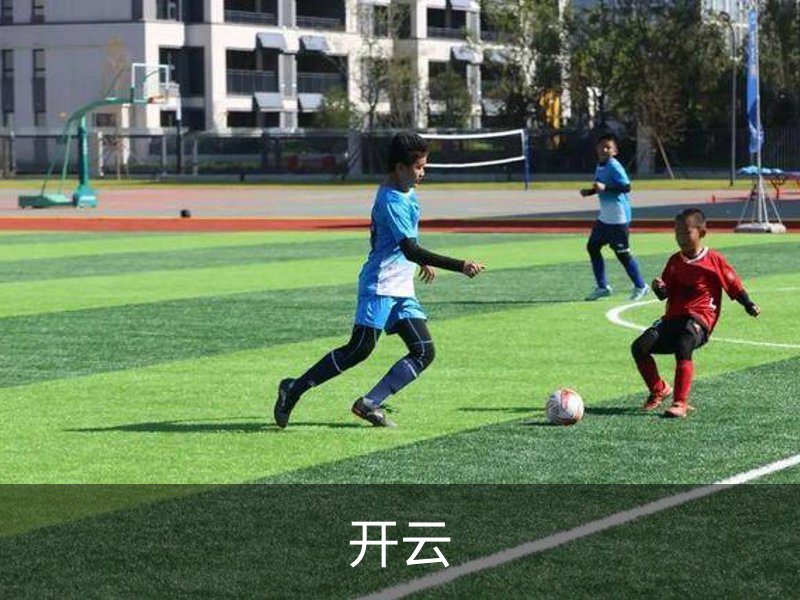 关于开云