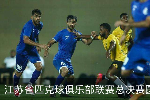 江苏省匹克球俱乐部联赛总决赛圆满落幕！运动热潮席卷淮安！