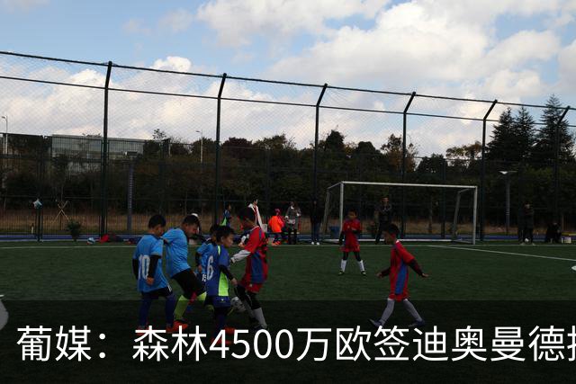 葡媒：森林4500万欧签迪奥曼德接近达协议，葡体保留10%二转分成