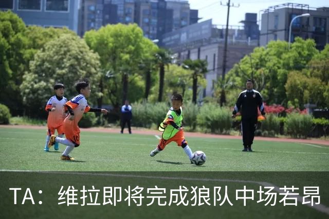 TA：维拉即将完成狼队中场若昂·戈麦斯的转会，费用约3500万英镑